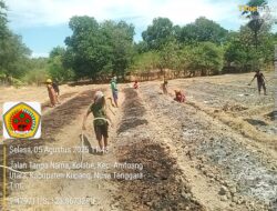 Program Ketahanan Pangan Desa Kolabe,Kades Dan Pengurus Bumdes Tanam Bawang Dilahan Kelompok Tani